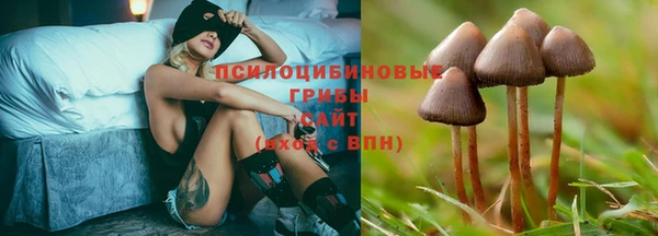 дурь Каменка