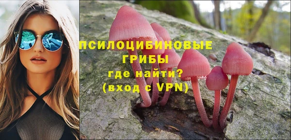 дурь Каменка