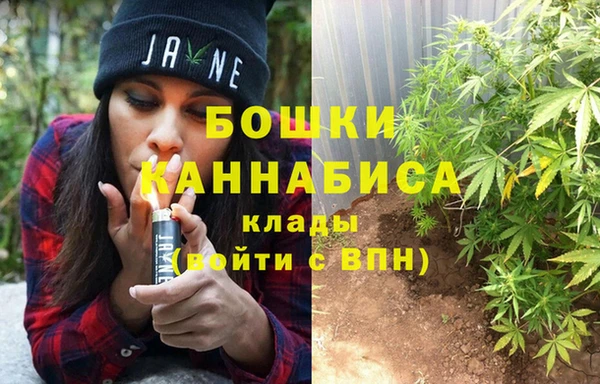 дурь Каменка