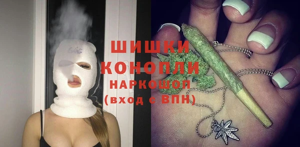 дурь Каменка