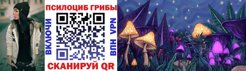 Галлюциногенные грибы мицелий  Купить  Гатчина 